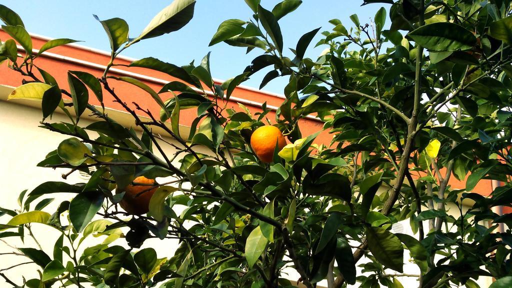 Hotel Giardino Modugno Zewnętrze zdjęcie