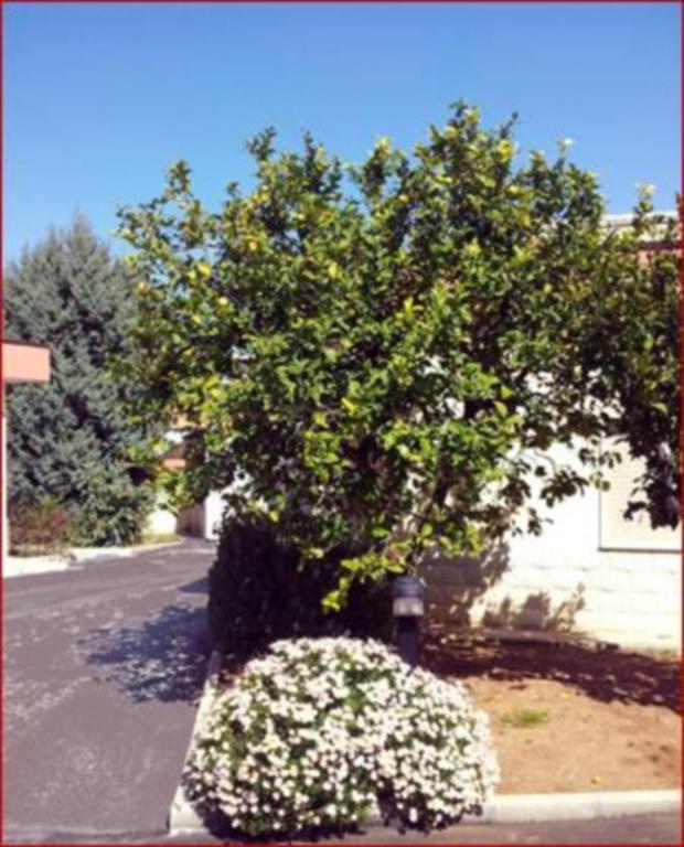 Hotel Giardino Modugno Zewnętrze zdjęcie